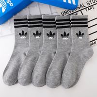 C3(5 pairs of gray)