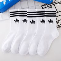 C2(5 pairs of white)