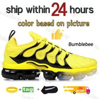 11 Bumblebee
