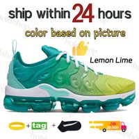 18 Lemon Lime