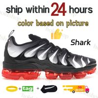 24 Shark