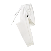 B11 (polyester)