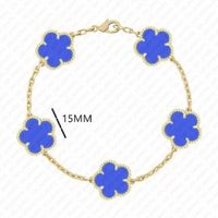 6 gold dark blue