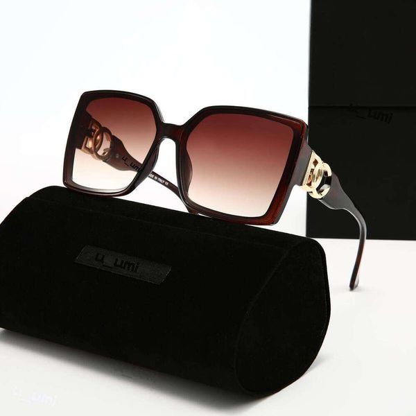 Luxury Designer Sunglasses Oversized Square Acetate Frame Gradient Lens Gold Tone Interlocking High Grade UV400 Protection Fashion DNA dg Eyewear For Women - Fashion Collection - myaceshop