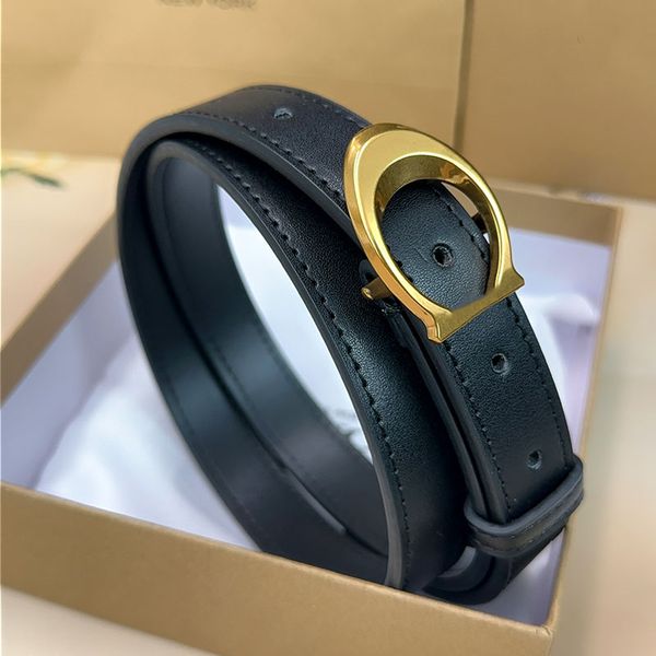 luxury belt Fashion designer belt brand belts gold silver buckle cintura belts for women designer cinture width 2.5cm with box gift high quality 2025 - Fashion Accessories - myaceshop